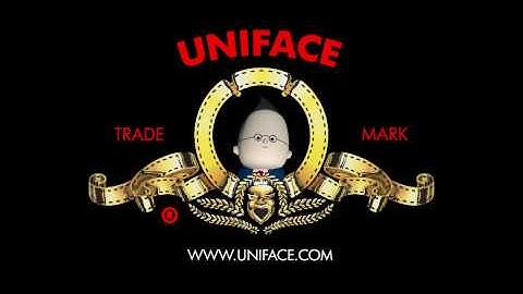 Uniface App Productivity With Stan