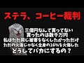 猫ミームでわかるステラ裁判 前編#猫ミーム #猫マニ