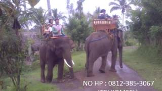 Hub  0812 3853 067,  contoh brosur paket tour wisata bali