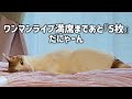 4/23(木)20:00~