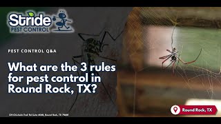 What are the 3 rules for pest control in Round Rock, TX? - (512) 254-8185