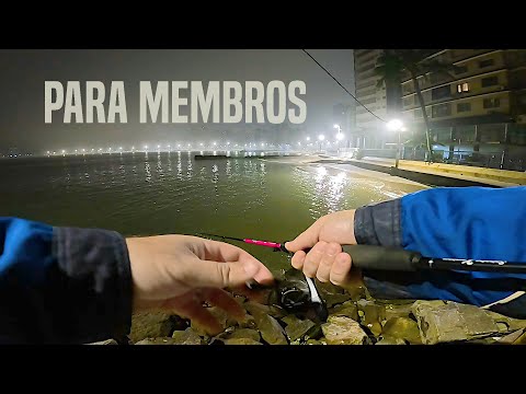 PARA MEMBROS - PESCARIA em SÃO VICENTE