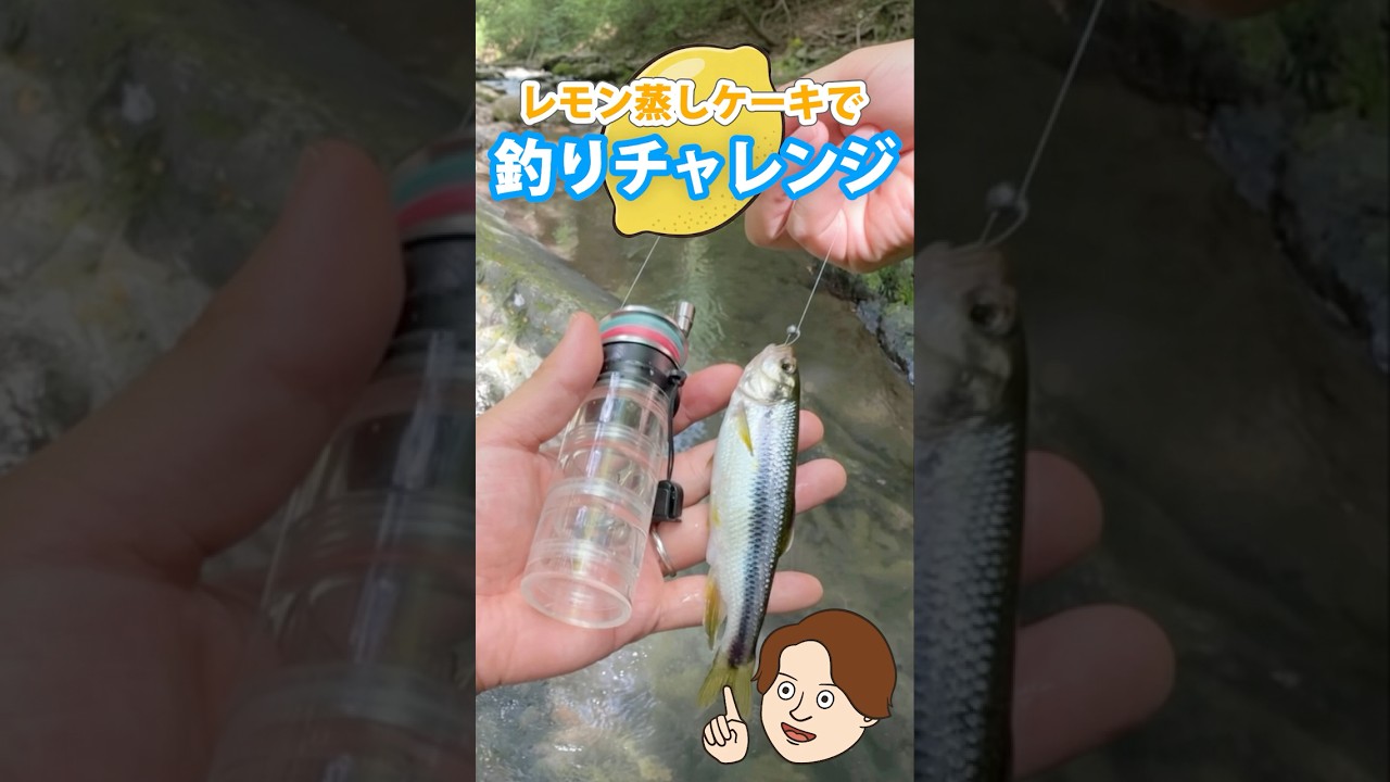 【#渓流釣り】レモン蒸しケーキで魚が釣れるか検証してみた!
