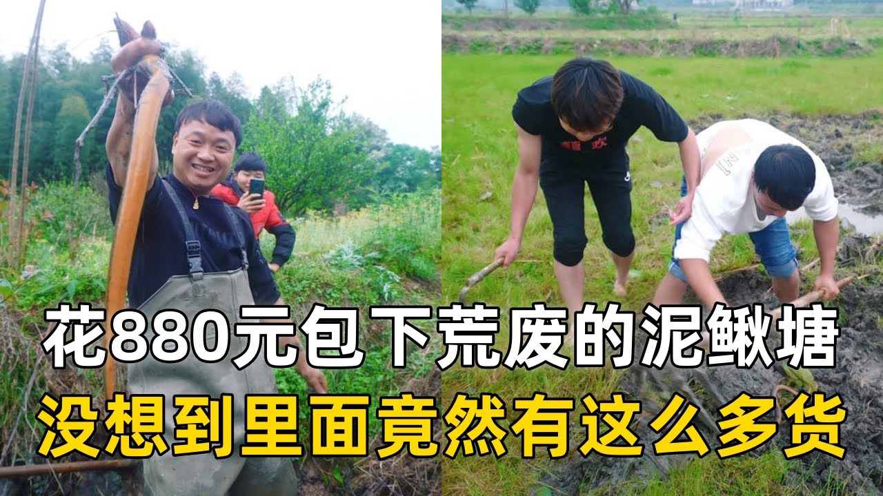 大表哥花880元包下荒废多年的泥鳅塘，没想到里面竟然有这么多货？｜花9000元包下5亩莲芽田，没想到竟然有意外收货！