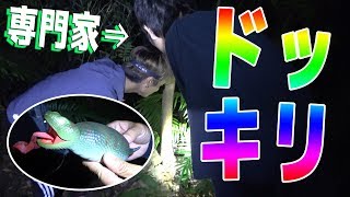 専門家にツチノコ発見ドッキリしてみた結果ｗ
