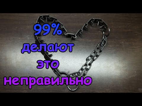 СТРОГИЙ ОШЕЙНИК. КАК ПРАВИЛЬНО ЕГО ОДЕВАТЬ?