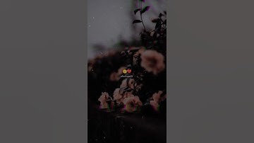 Ham to majnu jeisa bhi haal nhi kar sakte #viral #sadsayari ||| Sad #status for #whatsapp 🥺💔