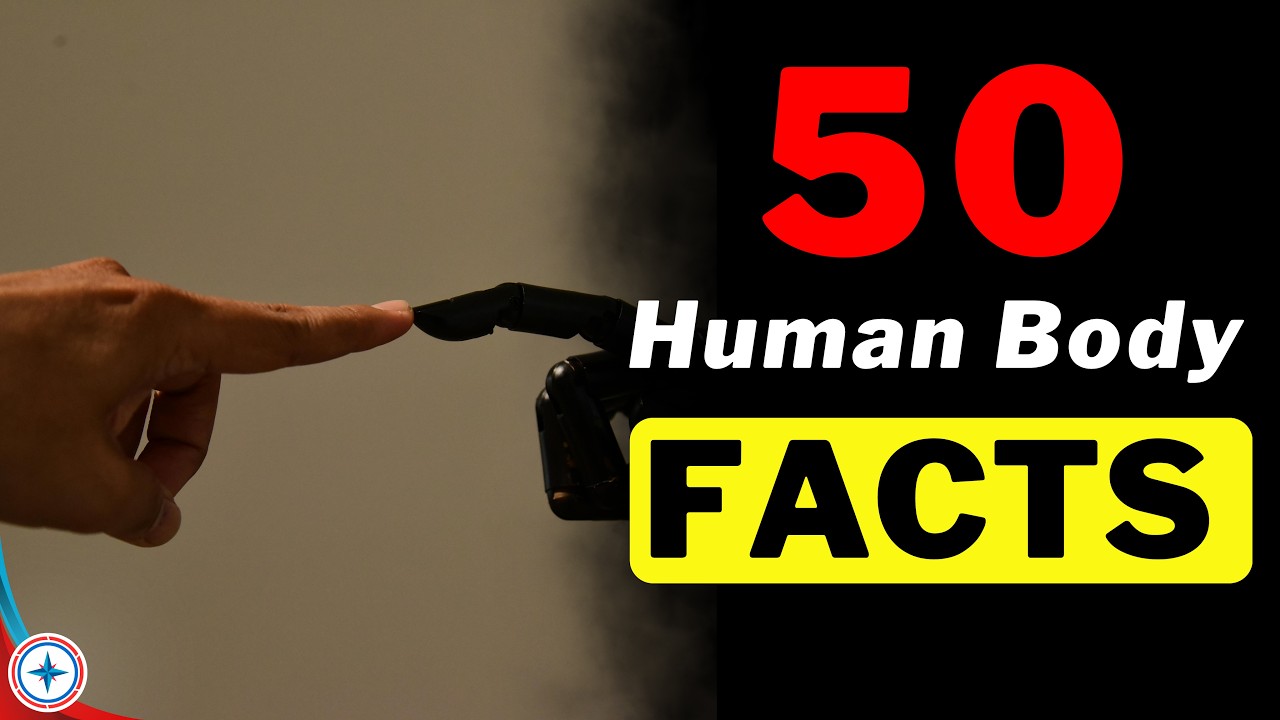 50 Amazing Human Body Facts That Change Everything !! - YouTube