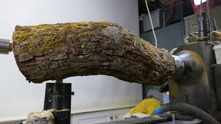 Woodturning - The Mossy Mystery Log!?