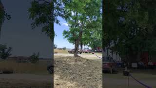 Energía, provincia de Buenos Aires