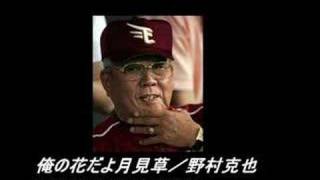 野村克也 台灣棒球維基館 野村克也 台灣棒球維基館