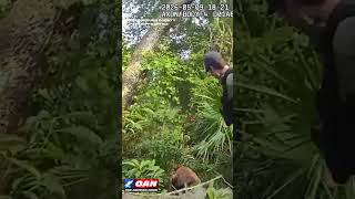 K-9 named Boomer who found a missing 96-year-old in a wooded area a few hundred yards from his home