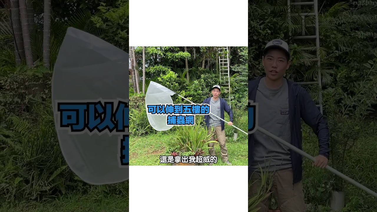 在自己家裡撈金龜🪲 縮圖