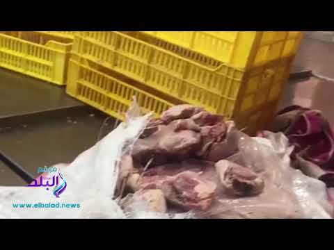 صدي البلد ضبط 70 طن دواجن مجمدة فاسدة فى الفيوم