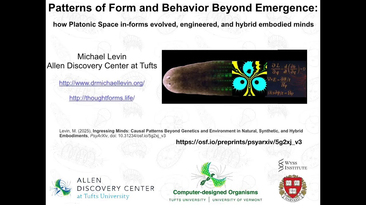 Patterns of Form and Behavior Beyond Emergence by Michael Levin