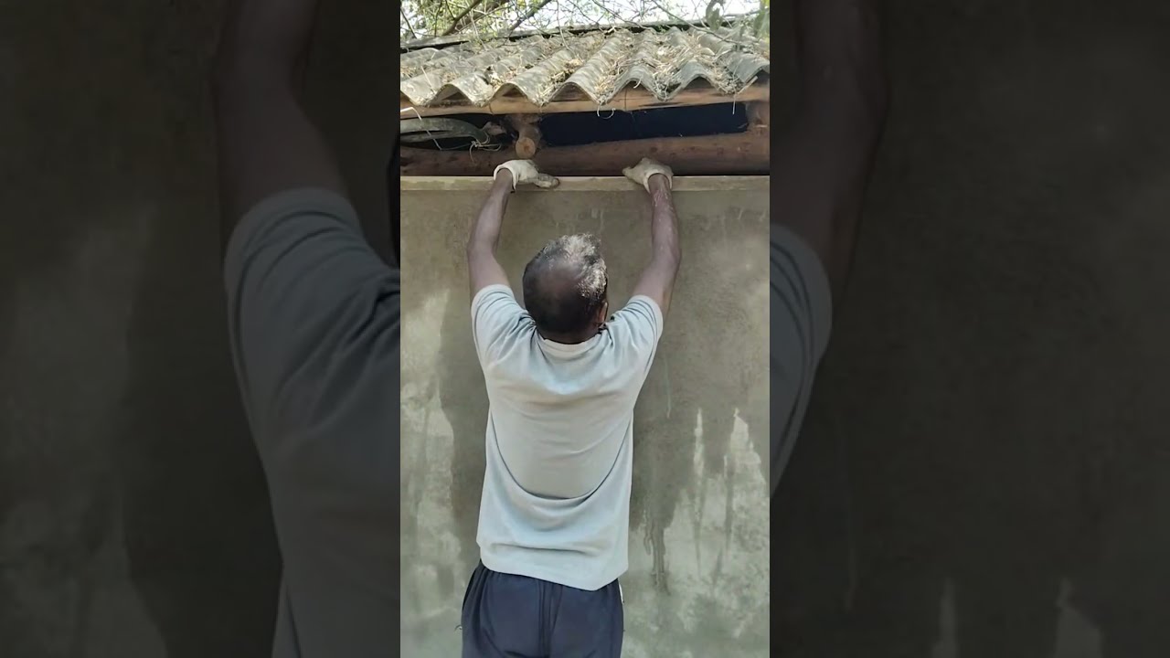 Live wall plaster Cornice preparation work / real construction site