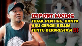 RAHASIA IMPORT KUCING, TIDAK PENTING. Para Breeder Tonton!!! Tips Import Kucing dari Breeder Luar