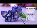 КРОКУСЫ 🌱  ВЕСЕННИЕ БРОШКИ 🌱 ПРЯМОЙ ЭФИР