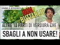 Non buttarlo! Altre 10 parti della verdura che sbagli a non usare