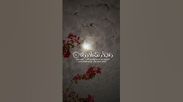 {افرأيت الذي كفر بآياتنا وقال لأوتين مالا وولدا}✨❤️