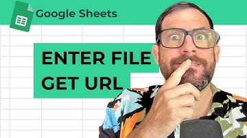 Voer de bestandsnaam van Google Drive in. Haal de URL op in Google Sheets.