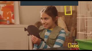 Dino Comedero Dino Feeder En Español L Dino Dana Temporada 3