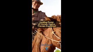 Healing Power of Horses: Equine Therapy Explained | Emotional Intelligence