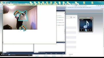 Xbox 360 Kinect Cat  - test 1