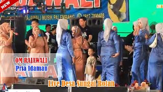 Pria Idaman Bersama Om Rajawali Musik Terbaru Live Sungai Rotan || Pernikahan Herlina & Bastiar