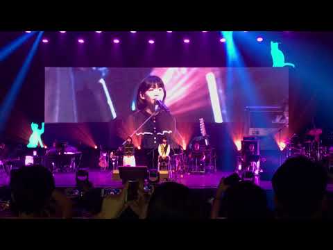 房东的猫[2019生活演唱会 杭州站]-《你是我最愚蠢的一次浪漫》20190511
