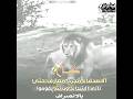 حالات وتس غدر الاصدقاء 