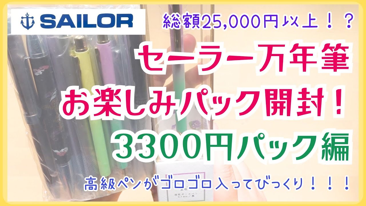 総額25,000円以上！？】3000円以上のペンがゴロゴロ！！セーラー万年筆