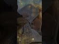 اه لو تعرف نجاة الصغيرة