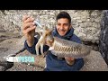 Pesca ad EGING su fondali rocciosi | Catture di Seppie con Catch & Release