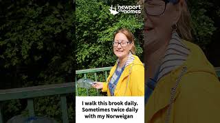 Community Spirit In Bettws Residents Create New Wildflower Area