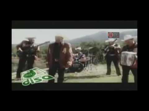 Ver video de Tomates o no tomates