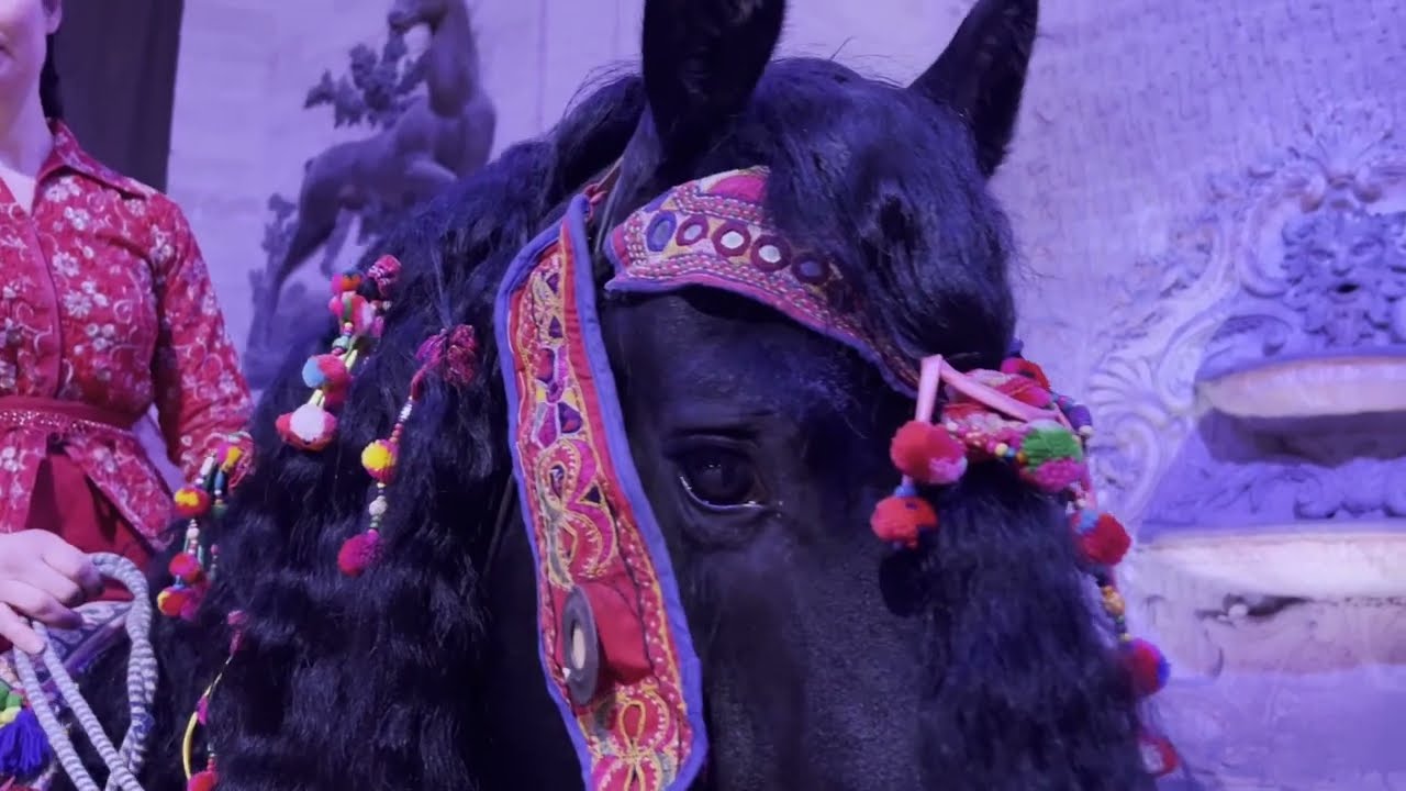 Répétitions du spectacle Totem 2022