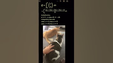 ∫C(x, 5) dx [0, 4] = ?? MIT Integration Bee 2023, Kwalificatie-examen, Vraag 5. #mitintegrationbee
