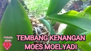 Dewi Murni Mus Mulyadi