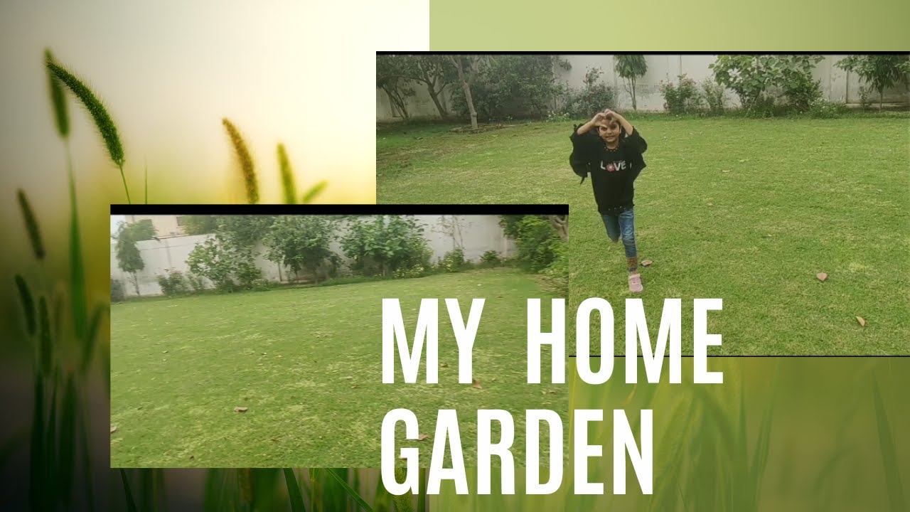 My home garden - YouTube