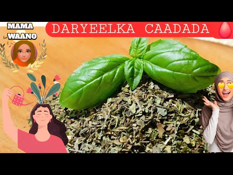 DARYEELKA DHIIGA CAADADA EE DHAQSI QAL QALAY DA WALBE OO EEY GABAR JIRTO