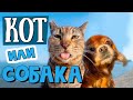 Лучшие приколы с КОТАМИ и СОБАКАМИ/ СМЕШНЫЕ ЖИВОТНЫЕ