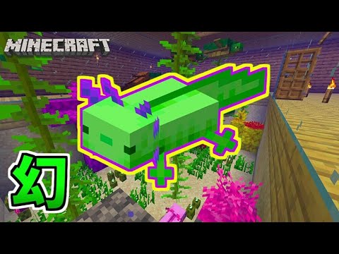 緑のウーパールーパーっているの Part9 Minecraft マインクラフト マイクラ1 17 Youtube