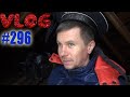 Белка снова дома / Советы в комментариях / Ищу старинную бронзу VLOG #296