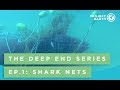 The Deep End Series Episode 1: Shark Nets