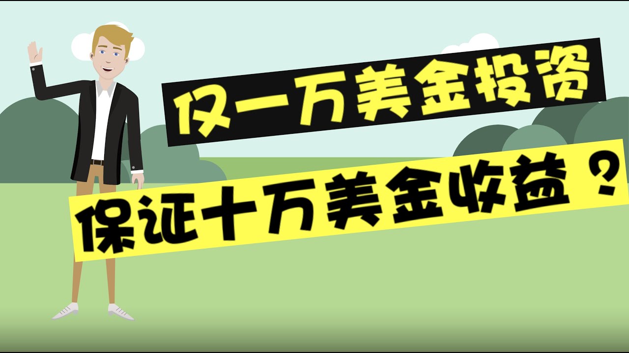 仅一万美金投资保证第一年十万的收益？