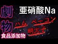 劇物指定！？　発色剤（亜硝酸Na）のお話【自然療法士 ルイ】