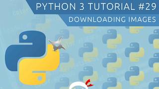 Python 3 Tutorial for Beginners #29 - Downloading Images screenshot 5