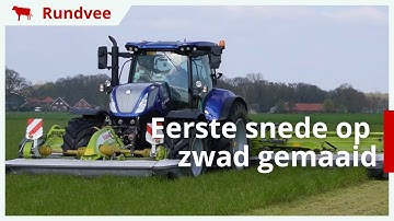 Eerste snede gras op zwad gemaaid
