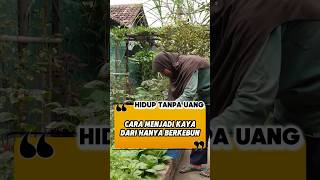 Yoso Farm Kaya Dari Kebun  Cerita Usaha